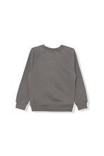 Carica l&#39;immagine nel visualizzatore di Gallery, Calvin Klein Jeans Felpa Girocollo in Cotone Grigio