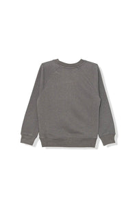 Calvin Klein Jeans Felpa Girocollo in Cotone Grigio