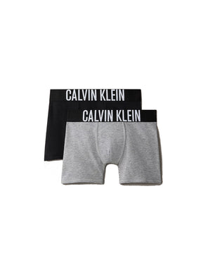 Calvin Klein Bambino Pantaloncini Boxer Confezione da 2 con Fascia con Scritta Logo, Nero e Grigio
